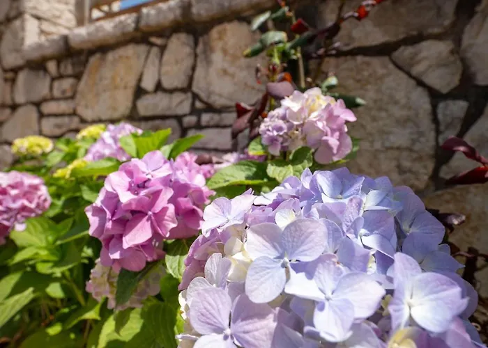 Appartement Leka Ksamil