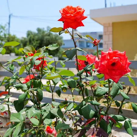 Vila Leka Ksamil